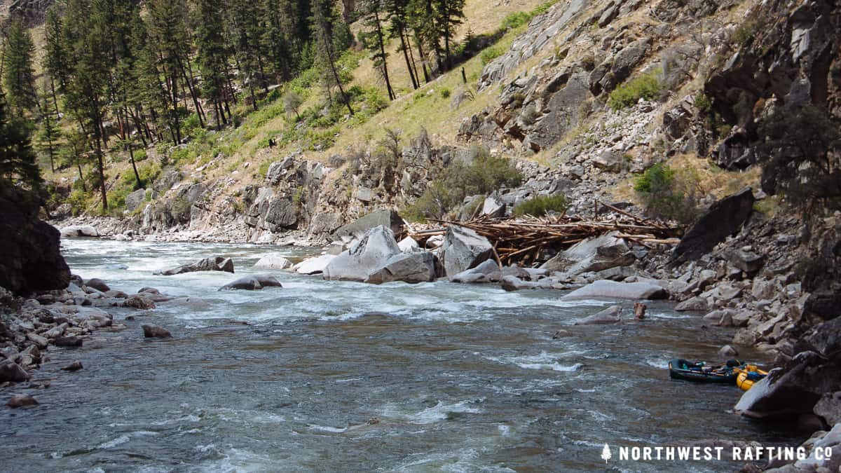 Scouting the entrance of Fall Creek Rapid