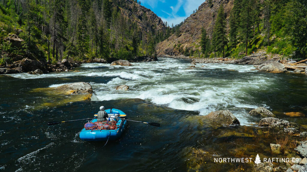 Rafting Ladle Rapid on the Selway River