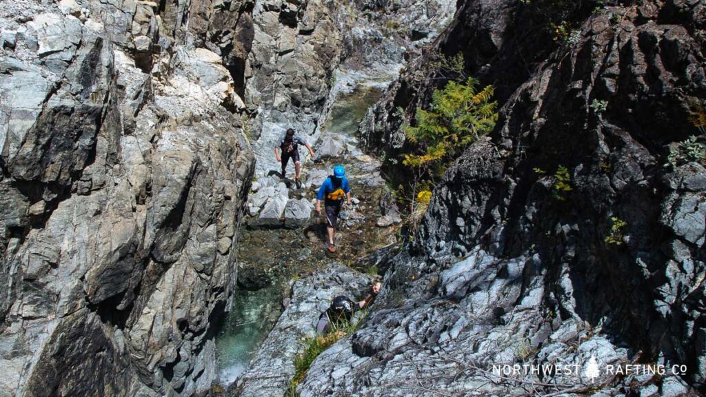 Hiking up a side creek on the Chetco River